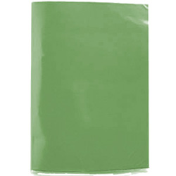 Carpeta Plastificada Verde Claro